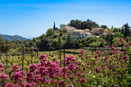 Charmant appartement avec terrasse à Cagnes-sur-Mer — Appartement · Cagnes-sur-Mer, Provence