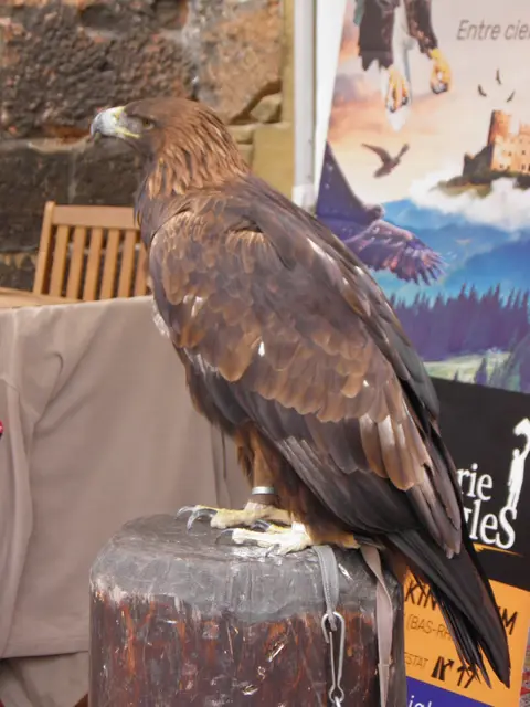le Perchoir de l'Aigle