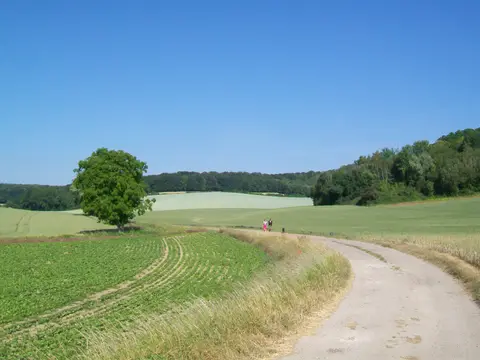 Chemin du Trécol