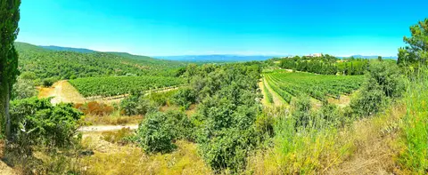 Domaine des Planes