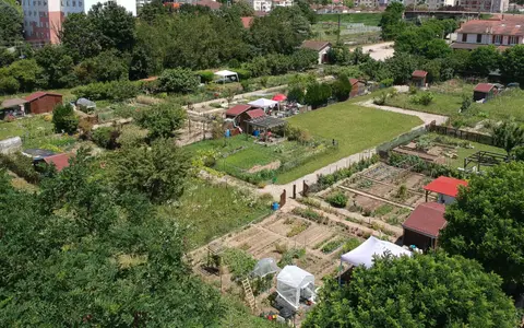 Jardin partagé