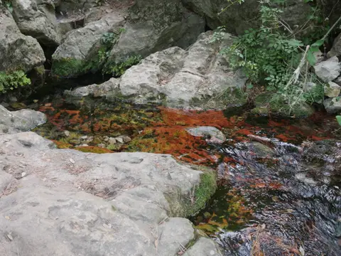 Gouffre des Encanaux