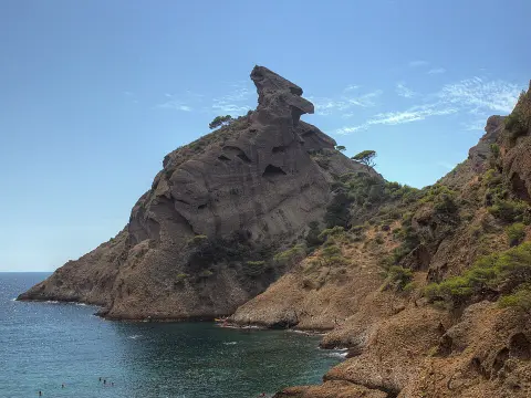 Le Capucin