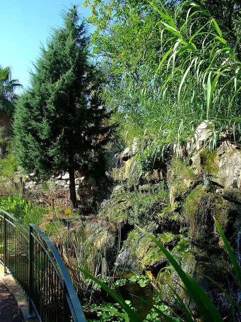 Jardin botanique de Nice