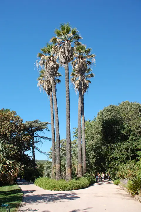 Parc Olbius Riquier