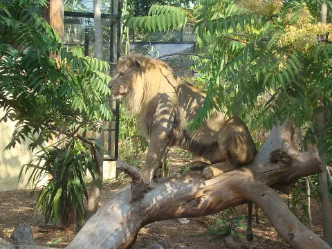 Parc zoologique du Cap Ferrat