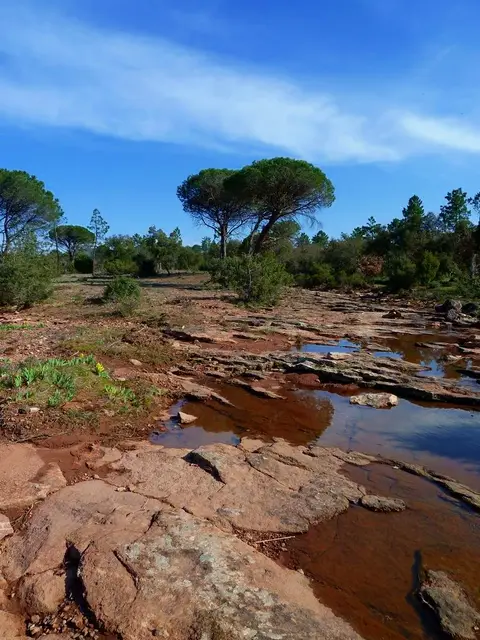 Réserve naturelle de la Plaine des Maures