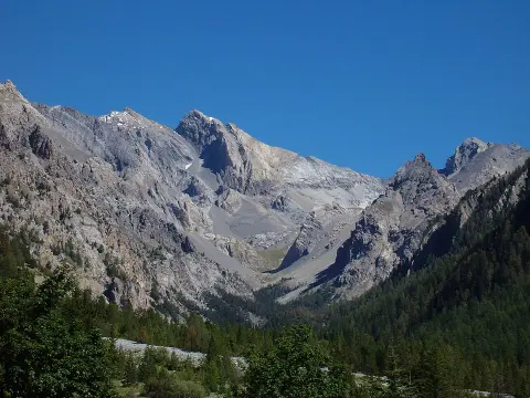 Tête des Raisins