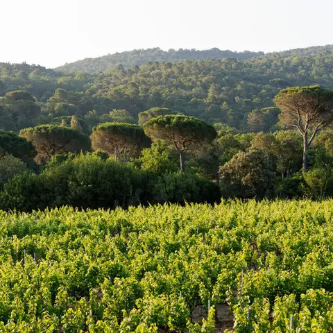 Château Barbeyrolles