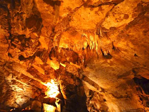 Grotte à Titi