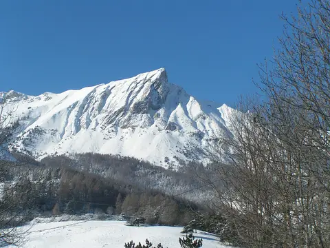 Aiguille Bébé