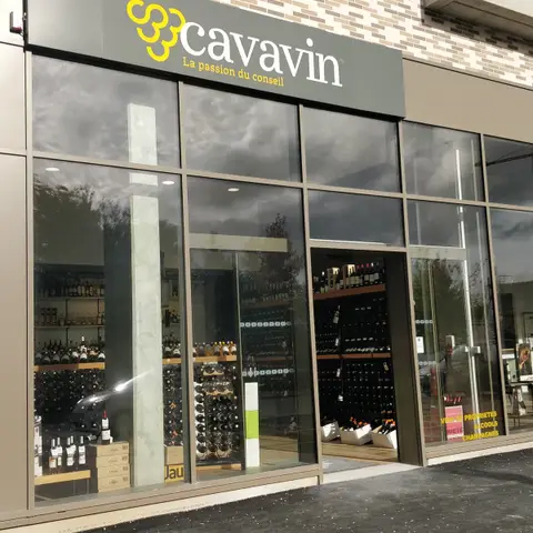 Cavavin