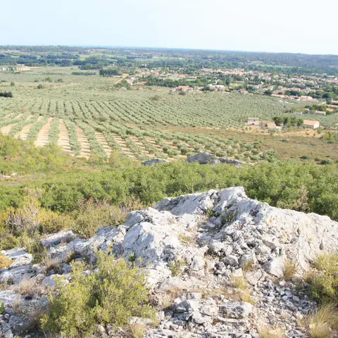 Le Castellas · Mouriès
