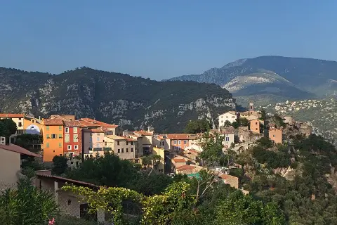 Le Ribit