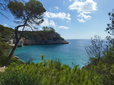 Caïre de Rogué