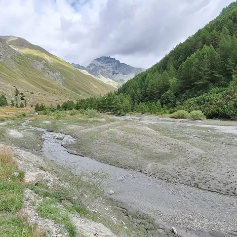 Colle Pelade