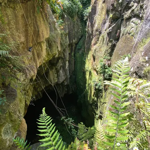 Cave Conseils Mazargues