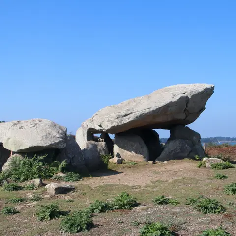 Dolmen de Lou Serre Dinguille