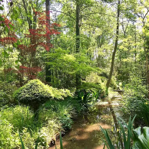 Arboretum du Badon