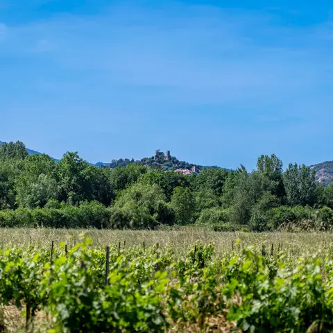 Le Peyron