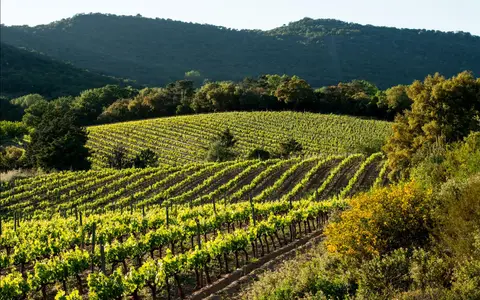 Domaine Val d'Astier