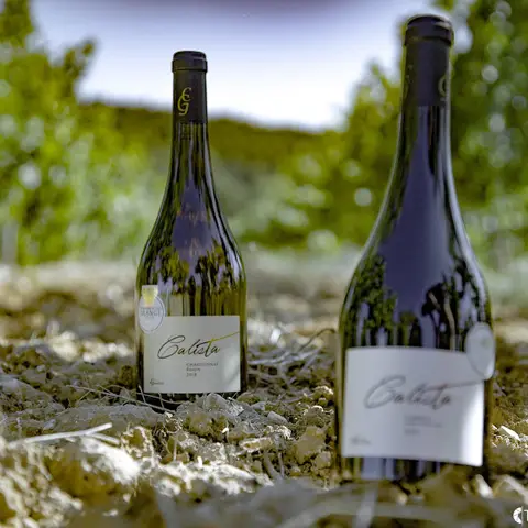 Coteaux et Fourchettes