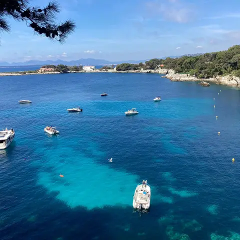 La Pinède