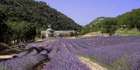 provencebiscuit.fr