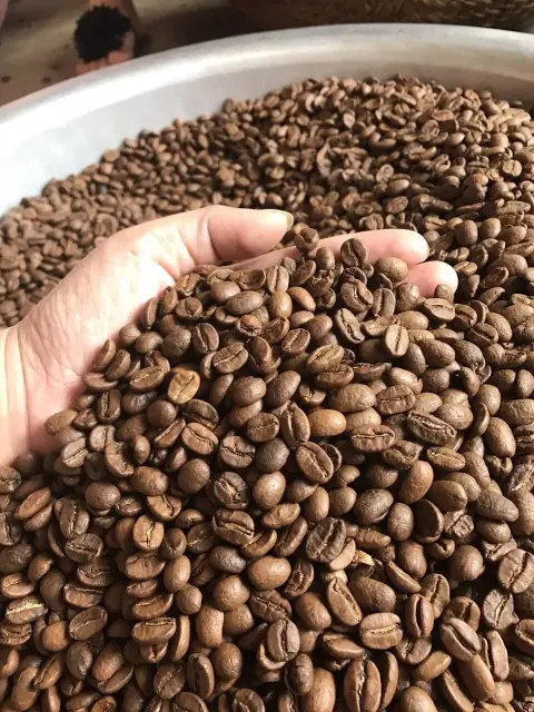 Grain de café Lambesc