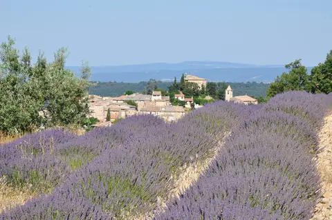 Pellegrain en Provence
