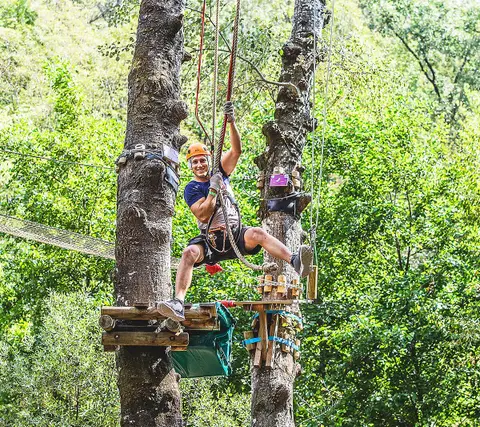 Canyon Forest - Page officielle
