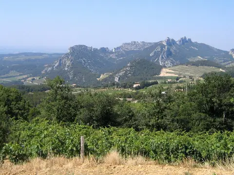 Castel Franc