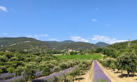 Domaine Au Cœur Des Vignes