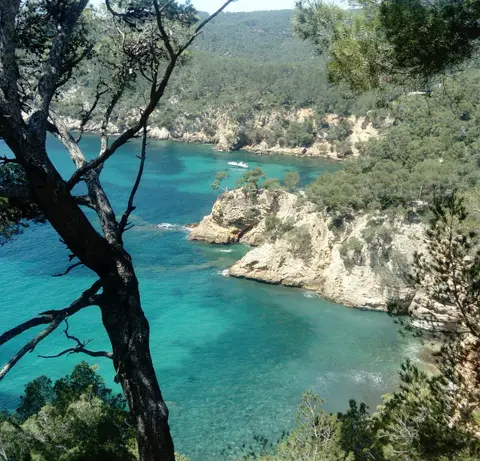 La Brise d'Asie