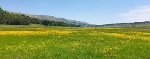 Les Délices de Caussols