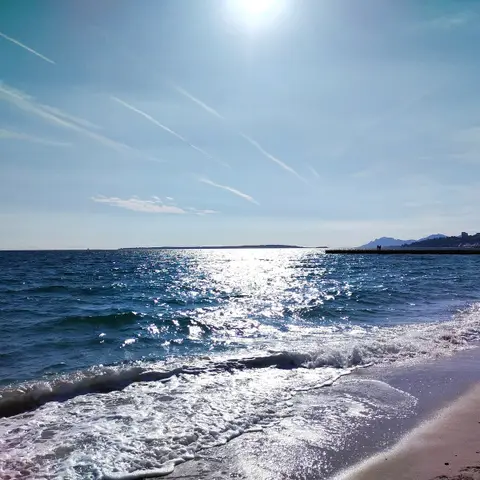 Plage Les Pins Penchés