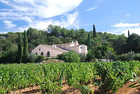 Le Clos des Vignes