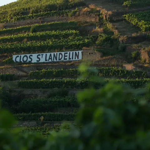 Domaine du Clos Lamalgue
