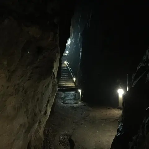La Cave des Chartreux
