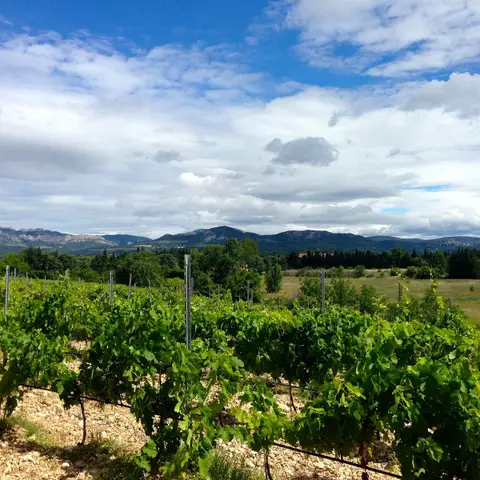 Domaine de Bacchus