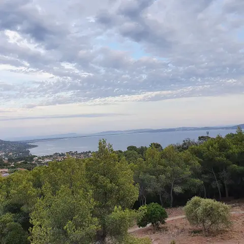 Coup de Soleil
