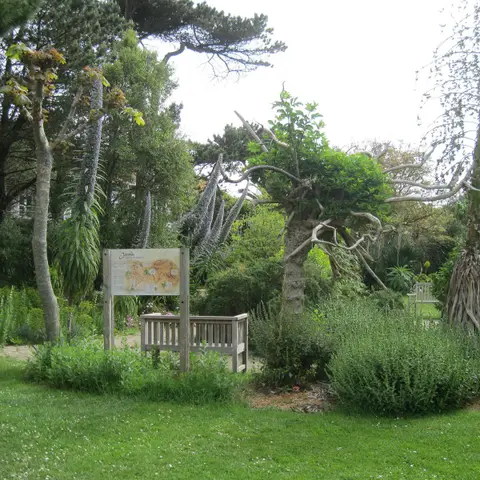 Jardin botanique du musée Balaguier