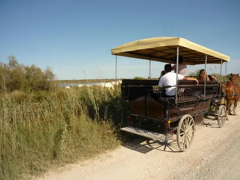 Riz Attelage Camargue