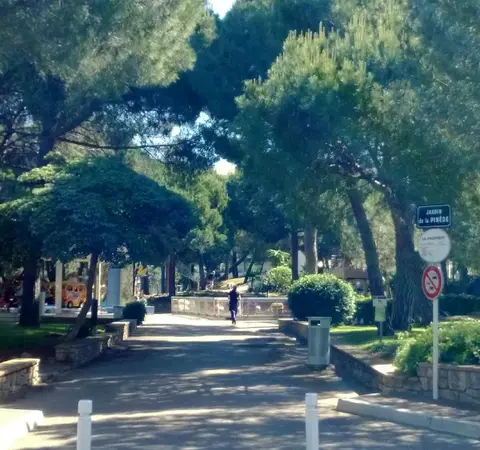 La Pinède du Bastidon