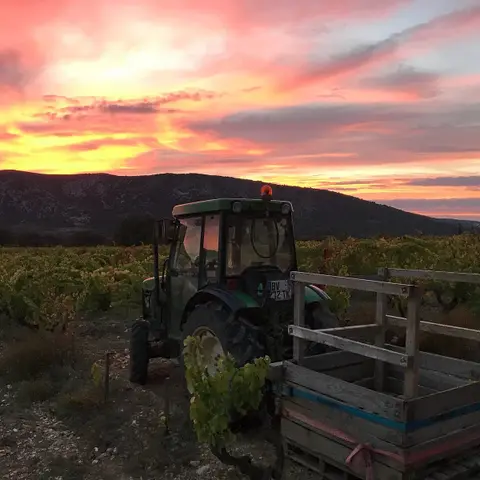 Domaine Saint-Jean du Barroux