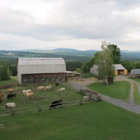 Ferme agricole bio Jubi