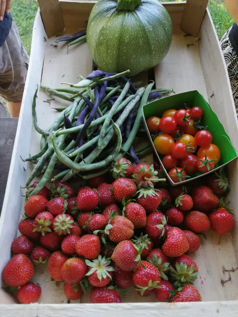 Les Fruits du Campredon