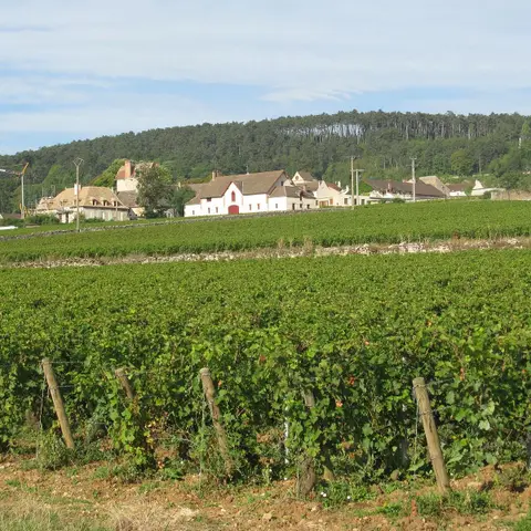 Val de Vignes