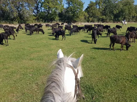Poney Ranch de La Crau