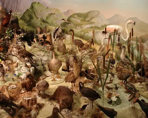 Musée des Objets Oubliés